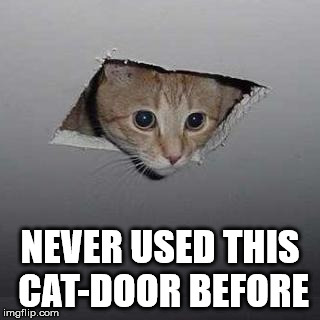Ceiling Cat Meme | NEVER USED THIS CAT-DOOR BEFORE | image tagged in memes,ceiling cat | made w/ Imgflip meme maker