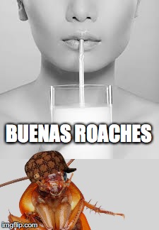 SCIENTISTS SAY "ROACH MILK: THE NEW SUPER FOOD" | BUENAS ROACHES | image tagged in cockroach,milkshakes,eating healthy,protein | made w/ Imgflip meme maker