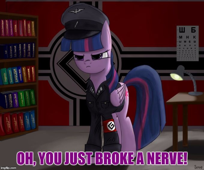 OH, YOU JUST BROKE A NERVE! | image tagged in twilight sparkle as a grammar nazi | made w/ Imgflip meme maker
