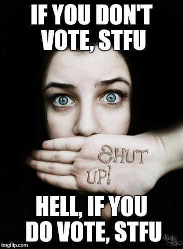 IF YOU DON'T VOTE, STFU; HELL, IF YOU DO VOTE, STFU | image tagged in vote or | made w/ Imgflip meme maker