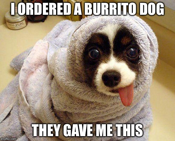 Burrito Dog  | I ORDERED A BURRITO DOG; THEY GAVE ME THIS | image tagged in burrito dog,puppy,cute | made w/ Imgflip meme maker