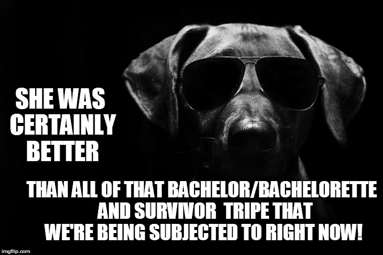 SHE WAS CERTAINLY BETTER THAN ALL OF THAT BACHELOR/BACHELORETTE  AND SURVIVOR  TRIPE THAT WE'RE BEING SUBJECTED TO RIGHT NOW! | made w/ Imgflip meme maker