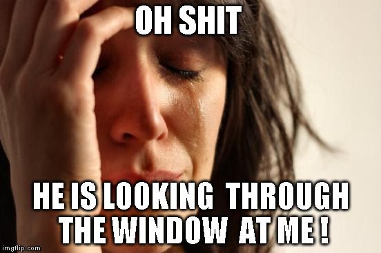 First World Problems | OH SHIT; HE IS LOOKING  THROUGH THE WINDOW  AT ME ! | image tagged in memes,first world problems | made w/ Imgflip meme maker