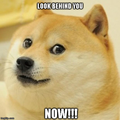 Doge Meme | LOOK BEHIND YOU; NOW!!! | image tagged in memes,doge | made w/ Imgflip meme maker