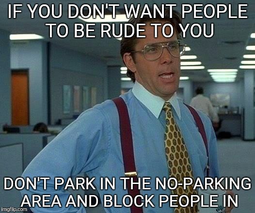 If you park your car selfishly, expect to make people annoyed | IF YOU DON'T WANT PEOPLE TO BE RUDE TO YOU; DON'T PARK IN THE NO-PARKING AREA AND BLOCK PEOPLE IN | image tagged in memes,that would be great | made w/ Imgflip meme maker