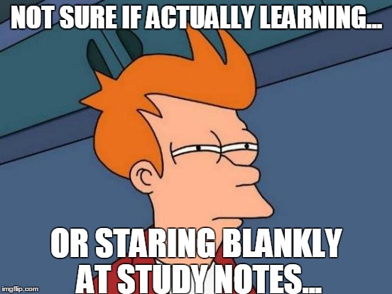 Futurama Fry Meme | NOT SURE IF ACTUALLY LEARNING... OR STARING BLANKLY AT STUDY NOTES... | image tagged in memes,futurama fry | made w/ Imgflip meme maker