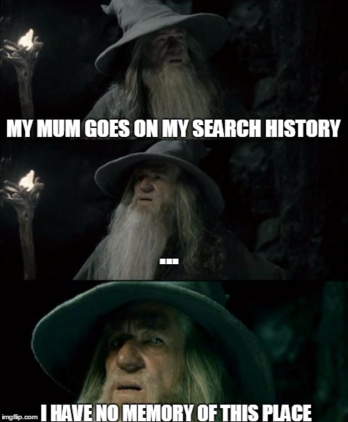 Confused Gandalf | MY MUM GOES ON MY SEARCH HISTORY; ... I HAVE NO MEMORY OF THIS PLACE | image tagged in memes,confused gandalf | made w/ Imgflip meme maker