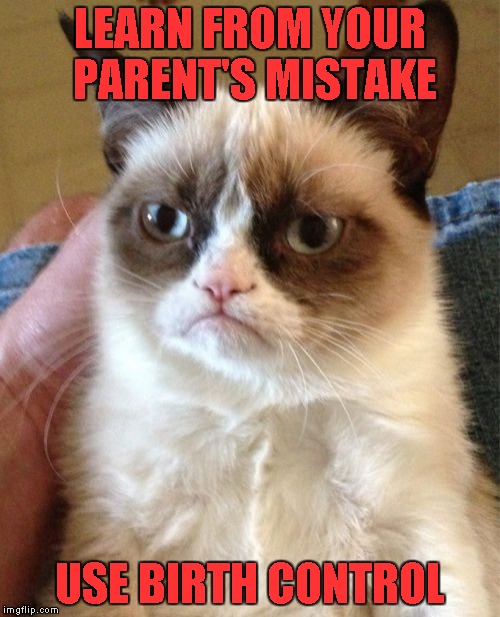 Grumpy Cat | LEARN FROM YOUR PARENT'S MISTAKE; USE BIRTH CONTROL | image tagged in memes,grumpy cat | made w/ Imgflip meme maker