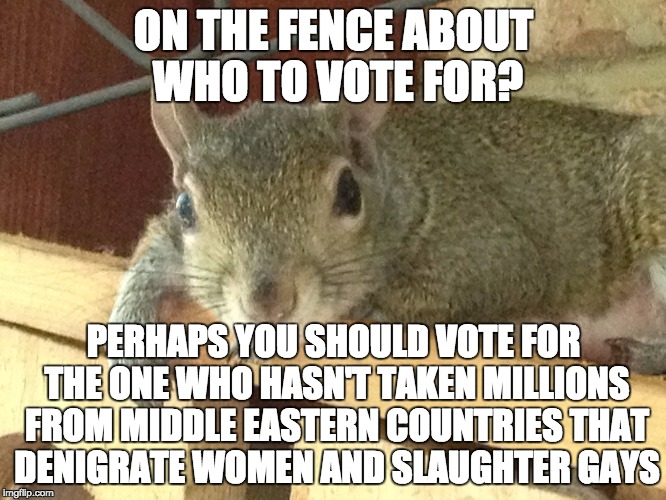 Squirrel Philosopher | ON THE FENCE ABOUT WHO TO VOTE FOR? PERHAPS YOU SHOULD VOTE FOR THE ONE WHO HASN'T TAKEN MILLIONS FROM MIDDLE EASTERN COUNTRIES THAT DENIGRATE WOMEN AND SLAUGHTER GAYS | image tagged in squirrel philosopher | made w/ Imgflip meme maker