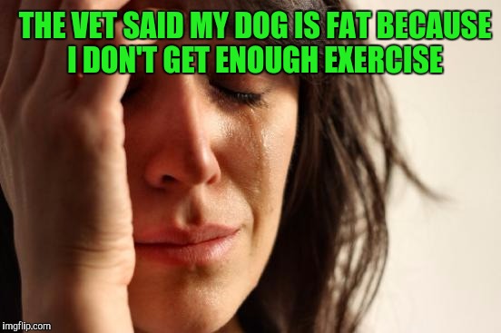 First World Problems | THE VET SAID MY DOG IS FAT BECAUSE I DON'T GET ENOUGH EXERCISE | image tagged in memes,first world problems | made w/ Imgflip meme maker