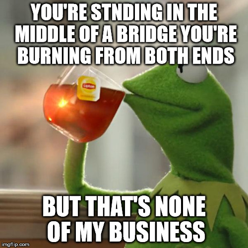 But That's None Of My Business Meme |  YOU'RE STNDING IN THE MIDDLE OF A BRIDGE YOU'RE BURNING FROM BOTH ENDS; BUT THAT'S NONE OF MY BUSINESS | image tagged in memes,but thats none of my business,kermit the frog | made w/ Imgflip meme maker