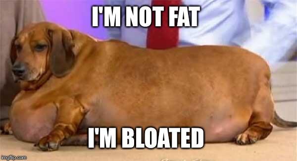 I'M NOT FAT I'M BLOATED | made w/ Imgflip meme maker