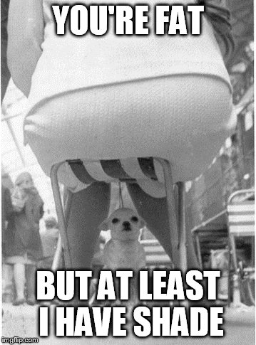 YOU'RE FAT BUT AT LEAST I HAVE SHADE | made w/ Imgflip meme maker
