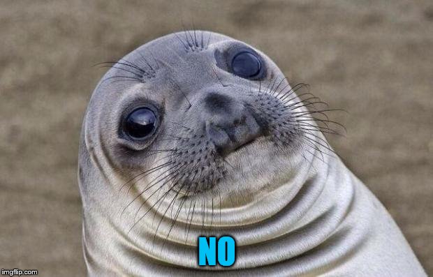 Awkward Moment Sealion Meme | NO | image tagged in memes,awkward moment sealion | made w/ Imgflip meme maker