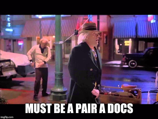 MUST BE A PAIR A DOCS | image tagged in double docs | made w/ Imgflip meme maker