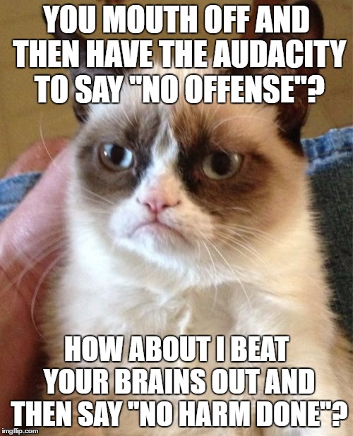 Grumpy Cat Meme | YOU MOUTH OFF AND THEN HAVE THE AUDACITY TO SAY "NO OFFENSE"? HOW ABOUT I BEAT YOUR BRAINS OUT AND THEN SAY "NO HARM DONE"? | image tagged in memes,grumpy cat | made w/ Imgflip meme maker