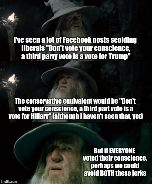Voting your conscience should be a GOOD thing | I've seen a lot of Facebook posts scolding liberals "Don't vote your conscience, a third party vote is a vote for Trump"; The conservative equivalent would be "Don't vote your conscience, a third part vote is a vote for Hillary" (although I haven't seen that, yet); But if EVERYONE voted their conscience, perhaps we could avoid BOTH these jerks | image tagged in memes,confused gandalf | made w/ Imgflip meme maker