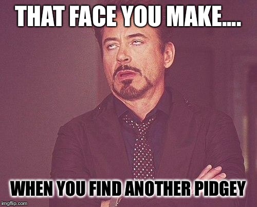 Tony stark | THAT FACE YOU MAKE.... WHEN YOU FIND ANOTHER PIDGEY | image tagged in tony stark | made w/ Imgflip meme maker