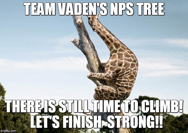 Scared Giraffe | TEAM VADEN'S NPS TREE; THERE IS STILL TIME TO CLIMB!  LET'S FINISH  STRONG!! | image tagged in scared giraffe | made w/ Imgflip meme maker