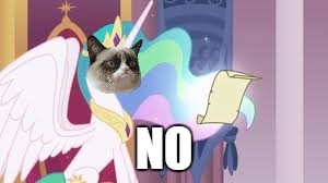 NO | image tagged in grumpy cat celestia | made w/ Imgflip meme maker