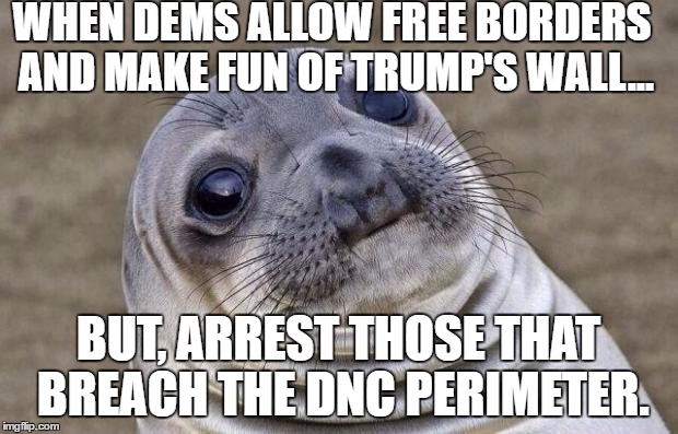 HEADLINE: 7 arrested after breaching the DNC perimeter. | WHEN DEMS ALLOW FREE BORDERS AND MAKE FUN OF TRUMP'S WALL... BUT, ARREST THOSE THAT BREACH THE DNC PERIMETER. | image tagged in memes,awkward moment sealion,hillary,dnc,democrats | made w/ Imgflip meme maker