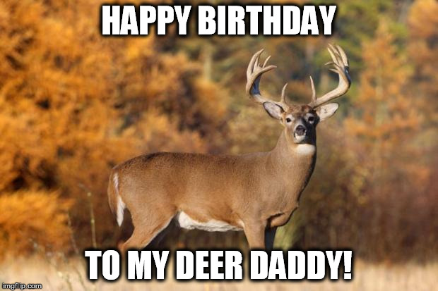 whitetail deer | HAPPY BIRTHDAY; TO MY DEER DADDY! | image tagged in whitetail deer | made w/ Imgflip meme maker