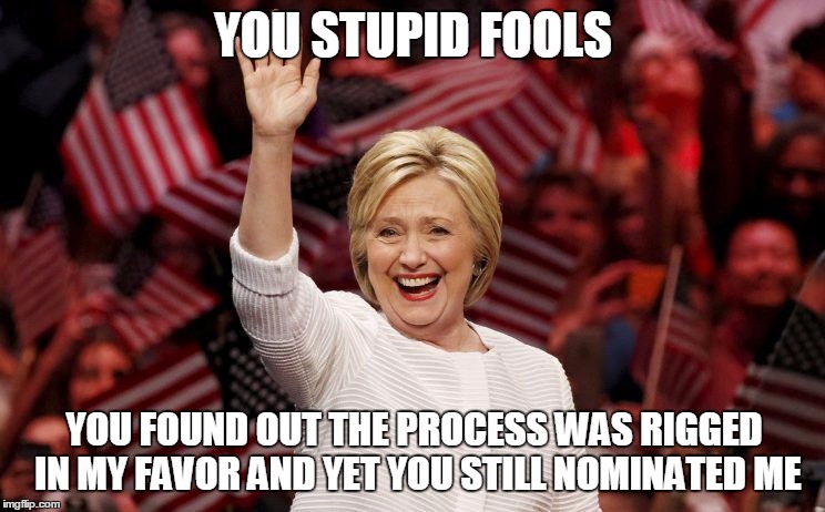 YOU STUPID FOOLS; YOU FOUND OUT THE PROCESS WAS RIGGED IN MY FAVOR AND YET YOU STILL NOMINATED ME | image tagged in fools | made w/ Imgflip meme maker
