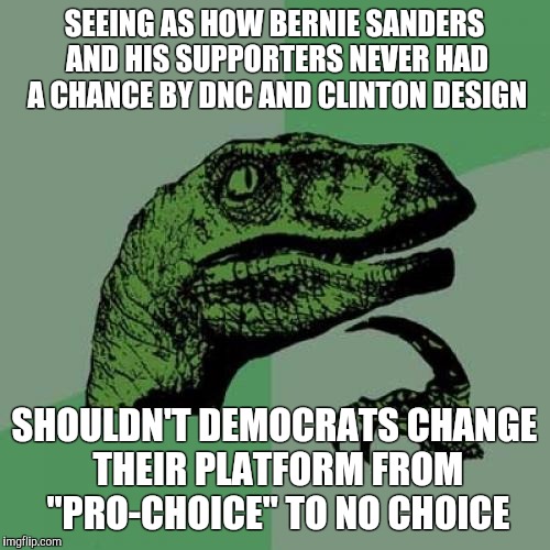 Philosoraptor | SEEING AS HOW BERNIE SANDERS AND HIS SUPPORTERS NEVER HAD A CHANCE BY DNC AND CLINTON DESIGN; SHOULDN'T DEMOCRATS CHANGE THEIR PLATFORM FROM "PRO-CHOICE" TO NO CHOICE | image tagged in memes,philosoraptor | made w/ Imgflip meme maker