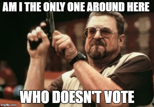 Am I The Only One Around Here | AM I THE ONLY ONE AROUND HERE; WHO DOESN'T VOTE | image tagged in memes,am i the only one around here | made w/ Imgflip meme maker