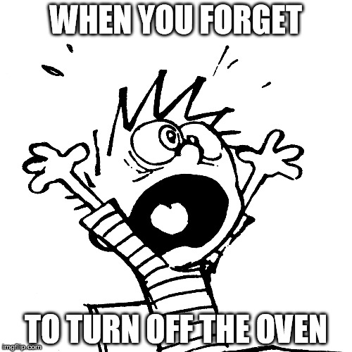 Forgetting to turn off the oven | WHEN YOU FORGET; TO TURN OFF THE OVEN | image tagged in forgetting,calvin and hobbes,panic,scared | made w/ Imgflip meme maker