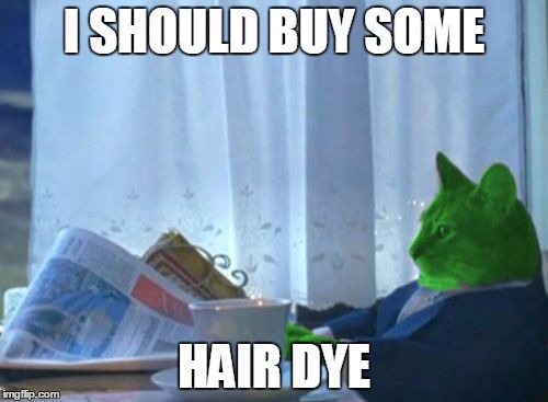 Saw raycat meme and no one used it besides him, so I might as well try one. :P | I SHOULD BUY SOME; HAIR DYE | image tagged in i should buy a boat raycat | made w/ Imgflip meme maker