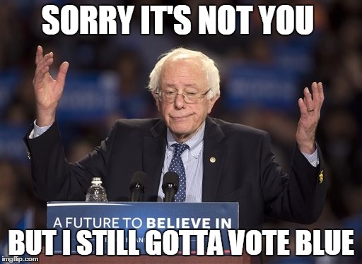 Bernie Sanders | SORRY IT'S NOT YOU; BUT I STILL GOTTA VOTE BLUE | image tagged in bernie sanders | made w/ Imgflip meme maker