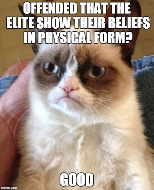 Grumpy Cat Meme | OFFENDED THAT THE ELITE SHOW THEIR BELIEFS IN PHYSICAL FORM? GOOD | image tagged in memes,grumpy cat | made w/ Imgflip meme maker