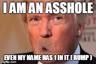 Donald Trump | I AM AN ASSHOLE; EVEN MY NAME HAS 1 IN IT ( RUMP ) | image tagged in donald trump | made w/ Imgflip meme maker