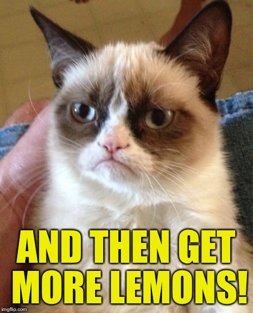 Grumpy Cat Meme | AND THEN GET MORE LEMONS! | image tagged in memes,grumpy cat | made w/ Imgflip meme maker