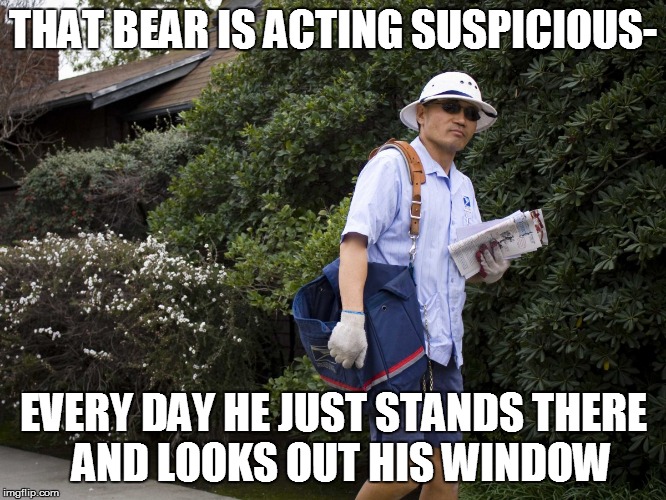 THAT BEAR IS ACTING SUSPICIOUS- EVERY DAY HE JUST STANDS THERE  AND LOOKS OUT HIS WINDOW | made w/ Imgflip meme maker