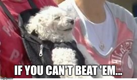 IF YOU CAN'T BEAT 'EM... | made w/ Imgflip meme maker