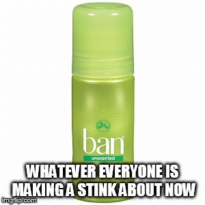 You gotta ban sonething | WHATEVER EVERYONE IS MAKING A STINK ABOUT NOW | image tagged in blank protest sign | made w/ Imgflip meme maker