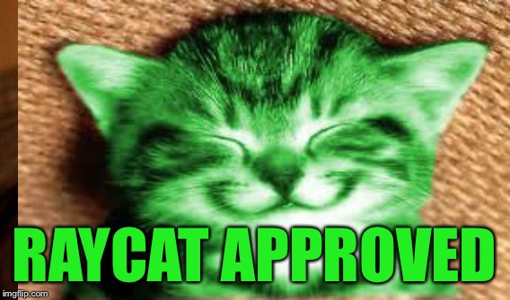 RAYCAT APPROVED | made w/ Imgflip meme maker