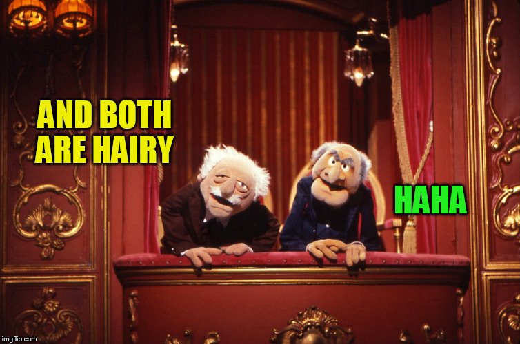 AND BOTH ARE HAIRY HAHA | made w/ Imgflip meme maker