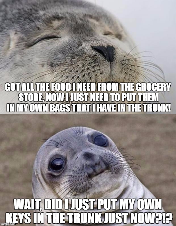 Base On A True Story, Had My Dad Come And Give Me The Extra Key To My Car Last Night... | GOT ALL THE FOOD I NEED FROM THE GROCERY STORE, NOW I JUST NEED TO PUT THEM IN MY OWN BAGS THAT I HAVE IN THE TRUNK! WAIT, DID I JUST PUT MY OWN KEYS IN THE TRUNK JUST NOW?!? | image tagged in memes,short satisfaction vs truth,funny,i can't believe that just happen,stupid,blame it on my adhd | made w/ Imgflip meme maker