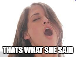 THATS WHAT SHE SAID | made w/ Imgflip meme maker
