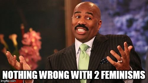 NOTHING WRONG WITH 2 FEMINISMS | image tagged in memes,steve harvey | made w/ Imgflip meme maker