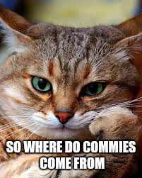 SO WHERE DO COMMIES COME FROM | made w/ Imgflip meme maker