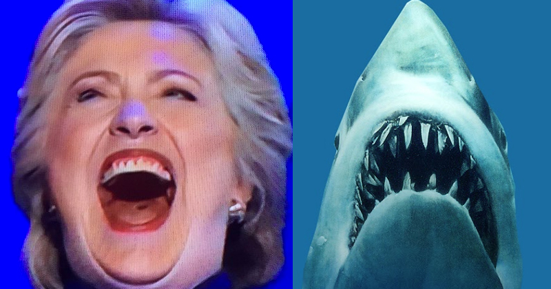 High Quality Hillary Shark Blank Meme Template