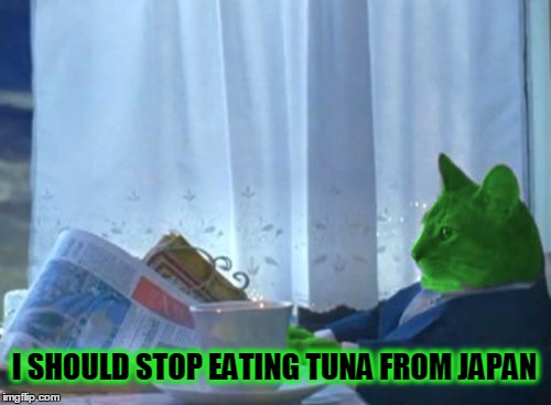 I Should Buy a Boat RayCat | I SHOULD STOP EATING TUNA FROM JAPAN | image tagged in i should buy a boat raycat,fukushima,radioactive | made w/ Imgflip meme maker