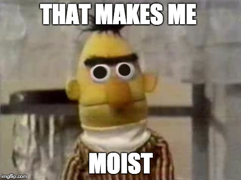 Bert Stare | THAT MAKES ME; MOIST | image tagged in bert stare | made w/ Imgflip meme maker