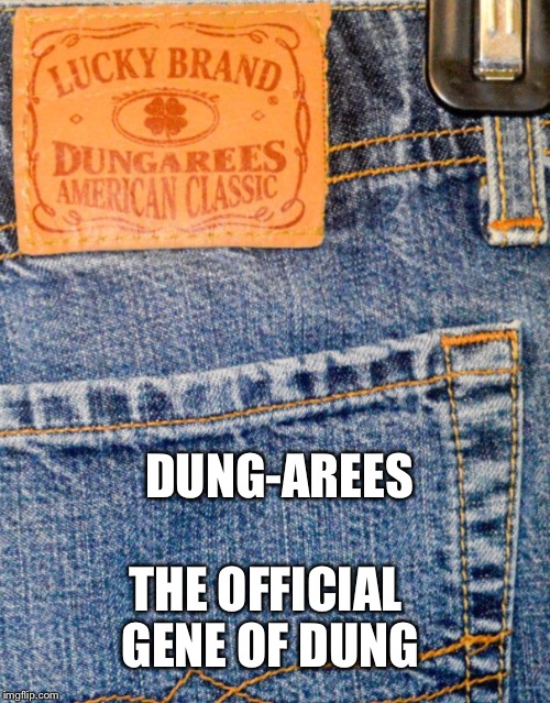 DUNG-AREES THE OFFICIAL GENE OF DUNG | made w/ Imgflip meme maker