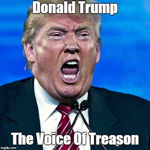Donald Trump The Voice Of Treason | made w/ Imgflip meme maker