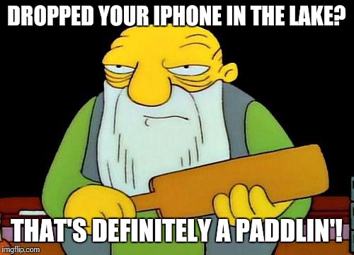 That's a paddlin' | DROPPED YOUR IPHONE IN THE LAKE? THAT'S DEFINITELY A PADDLIN'! | image tagged in memes,that's a paddlin' | made w/ Imgflip meme maker